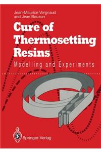 Cure of Thermosetting Resins: Modelling and Experiments