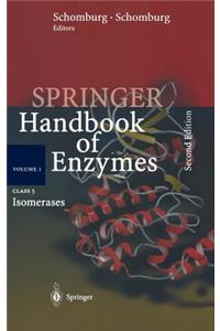 Class 5: Isomerases