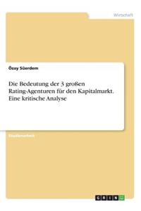 Bedeutung der 3 großen Rating-Agenturen für den Kapitalmarkt. Eine kritische Analyse