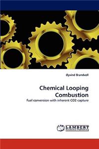 Chemical Looping Combustion