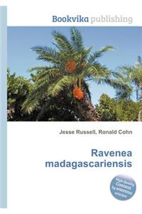 Ravenea Madagascariensis