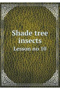 Shade Tree Insects Lesson No 10
