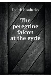 The peregrine falcon at the eyrie