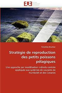 Strat?gie de Reproduction Des Petits Poissons P?lagiques