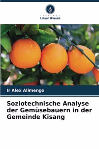 Soziotechnische Analyse der Gemüsebauern in der Gemeinde Kisang