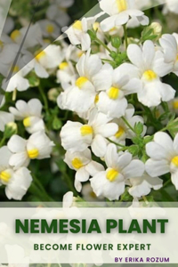 Nemesia Plant