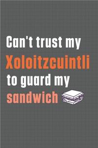 Can't trust my Xoloitzcuintli to guard my sandwich