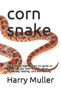 corn snake