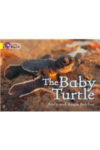 The Baby Turtle Workbook