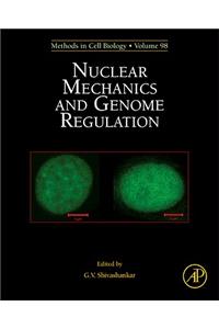 Nuclear Mechanics and Genome Regulation