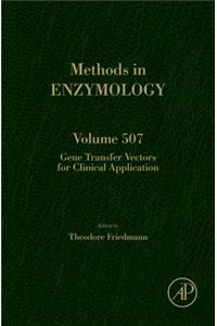 Gene Transfer Vectors for Clinical Application