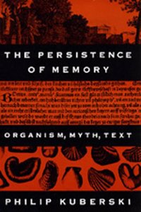 Persistence of Memory