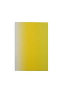 Christian LaCroix Neon Yellow A6 4.25
