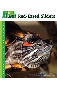 Red-Eared Sliders