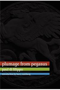 Plumage from Pegasus