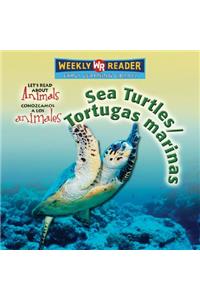 Sea Turtles / Tortugas Marinas