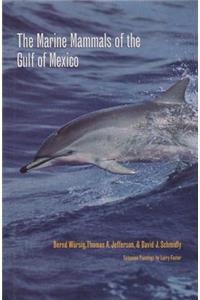 The Marine Mammals of the Gulf of Mexico