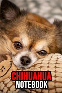 Chihuahua Notebook