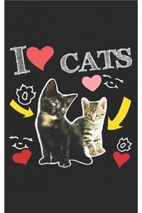 I Love Cats