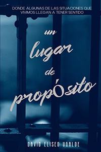 lugar de propósito