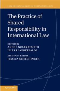 The Practice of Shared Responsibility in International Law