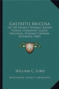 Gastritis Mucosa