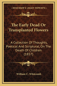 The Early Dead Or Transplanted Flowers