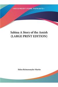 Sabina A Story of the Amish (LARGE PRINT EDITION)