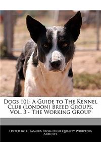 Dogs 101