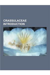 Crassulaceae Introduction: Monanthes, Crassula, Umbilicus, Echeveria, Tylecodon, Cotyledon, Dudleya Stolonifera, Crassulaceae, Sedum Morganianum,
