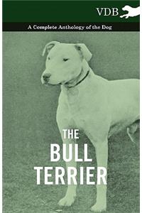 Bull Terrier - A Complete Anthology of the Dog -