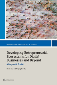 Developing Entrepreneurial Ecosystems for Digital Businesses and Beyond