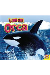 I Am a Orca