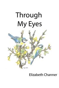 Through My Eyes