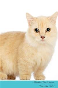 Munchkin Cat Presents