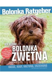 kleine Bolonka Zwetna Ratgeber