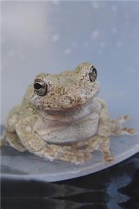 Happy Frog Journal: 150 Page Lined Notebook/Diary