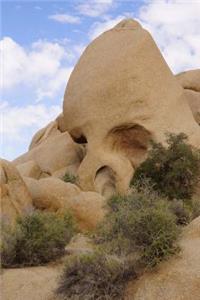Skull Rock at Joshua Tree National Park California USA Journal