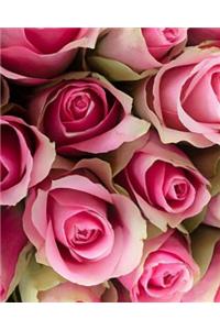 Pink Roses