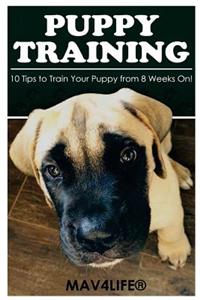 Puppy Training