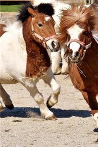 Playful Brown and White Ponies Pet Horse Journal
