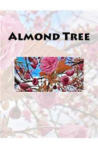 Almond Tree