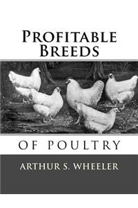 Profitable Breeds of Poultry