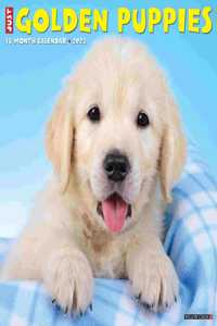 Just Golden Puppies 2023 Wall Calendar