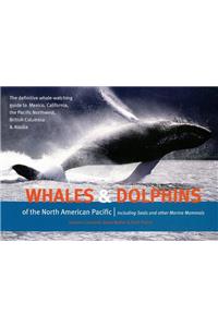 Whales & Dolphins of the North American Pacific
