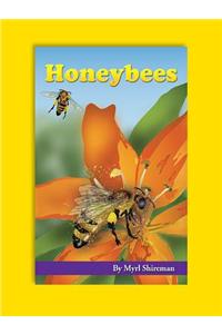 Honeybees