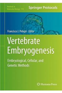 Vertebrate Embryogenesis