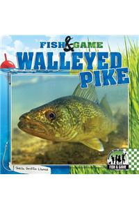 Walleyed Pike