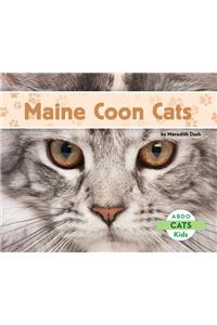 Maine Coon Cats