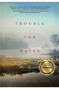 Trouble The Water